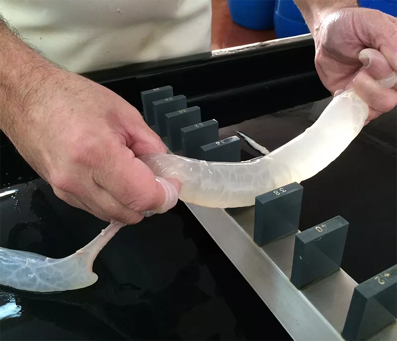 Tercera generación de la familia Ors en la elaboración artesanal Continuidad generacional en la elaboración de tripa natural para embutidos